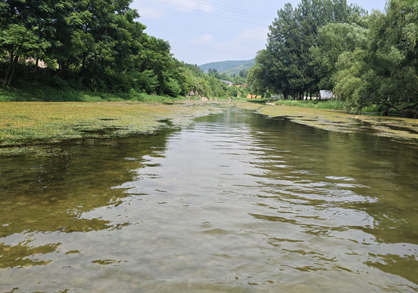 x处理成工厂生产用水该用什么净化方法？